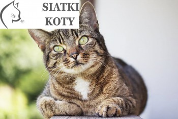 Na balkon - Produkcja siatki - Produkcja siatek ochronnych